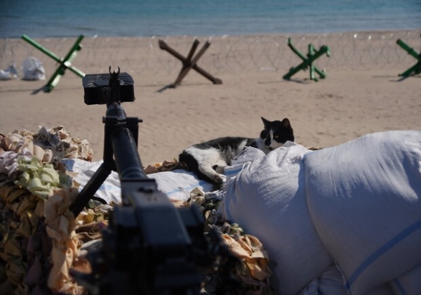 Изменения в составе флота РФ и вопрос одесситов к Залужному: как прошла ночь в Одессе и области сегодня