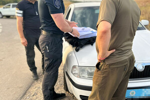 В нацпарке в Одесской области незаконно срубили деревья на 80 миллионов
