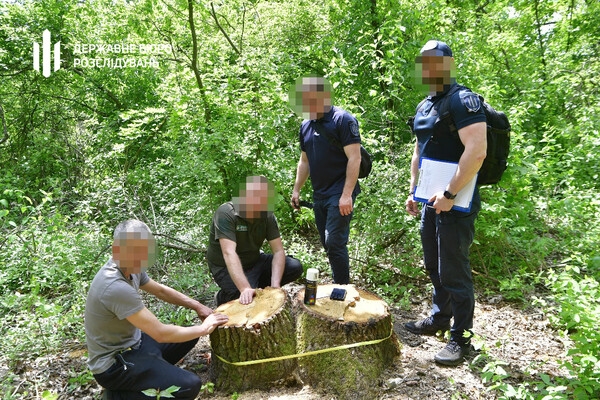 В нацпарке в Одесской области незаконно срубили деревья на 80 миллионов
