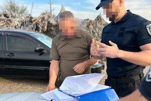 В нацпарке в Одесской области незаконно срубили деревья на 80 миллионов