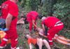 В Одесской области дерево упало на палатку с подростками: есть погибший и пострадавшие