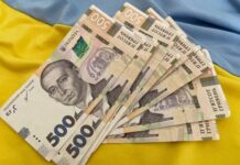Выплаты ВПЛ в 2026 году: обновленные правила, суммы и риски потери помощи